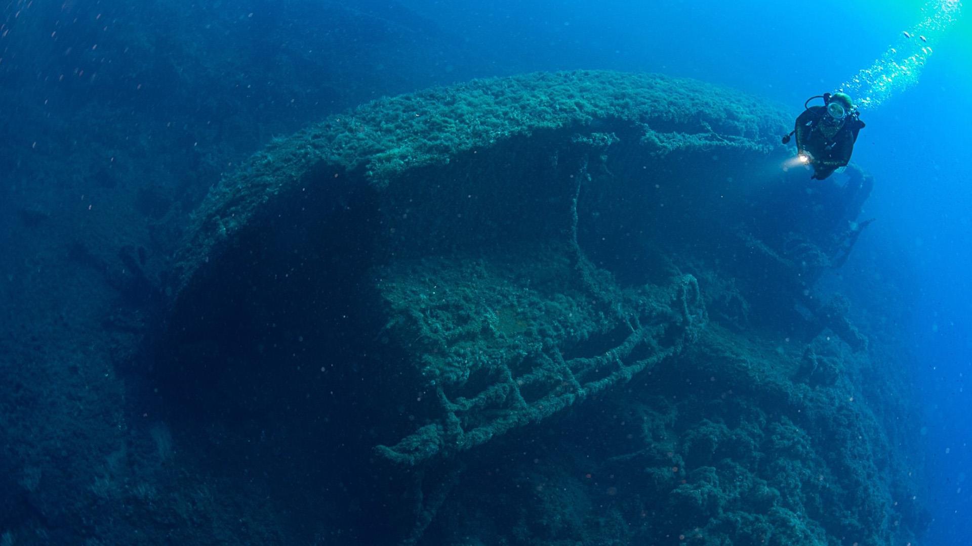 The Wing, Secca della Calcara (scuba)